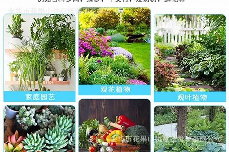 尿素加白酒可以除草吗