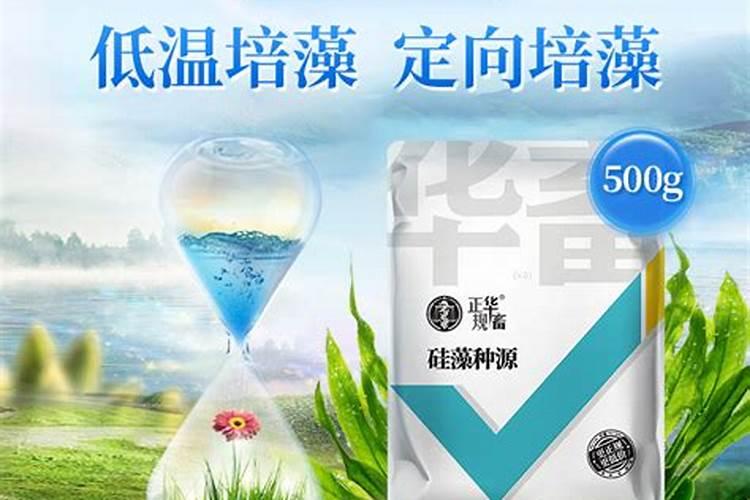 螃蟹塘里出现青苔怎么处理？该如何预防？