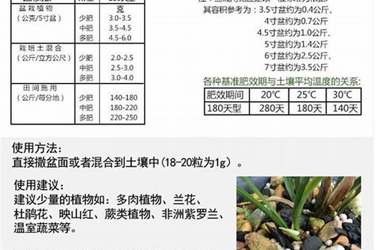 好康多缓释肥兰花怎么使用