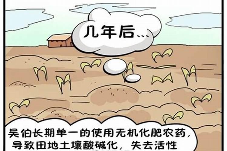 猕猴桃钙肥什么时候施最好