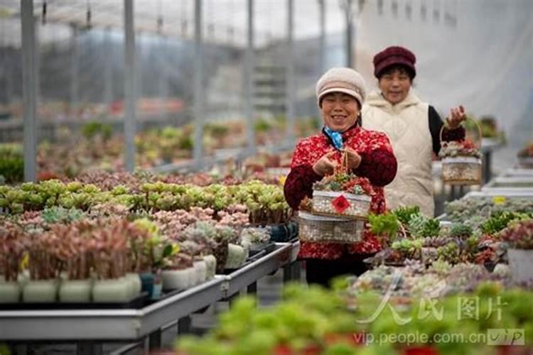 水溶肥排名前十位的有哪些品牌