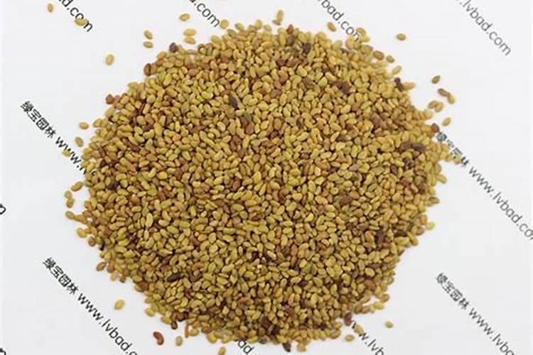 开花期间施什么肥好 开花期间可以施哪些肥