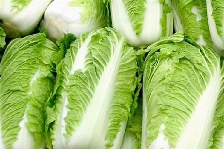 青储袋装可以放多久