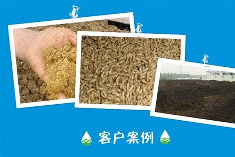 家蝇人工养殖工艺流程饲料成本