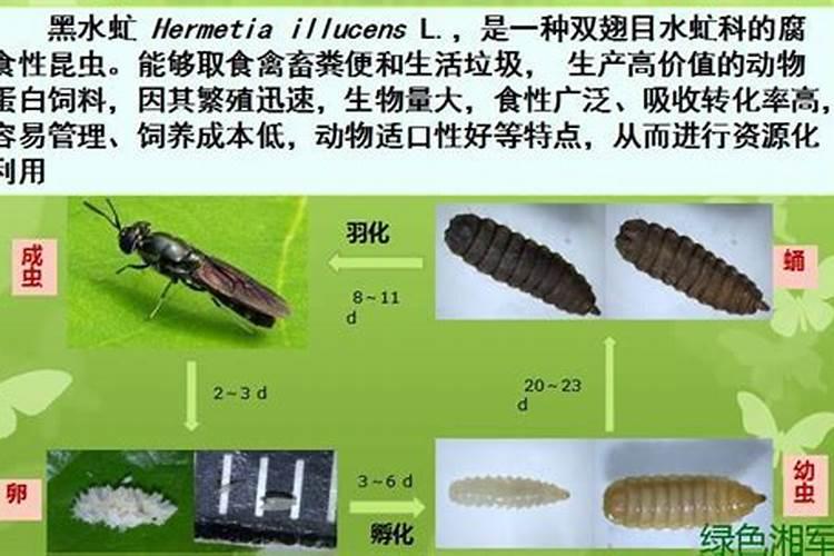 粪便发酵剂的粪便发酵后的用途