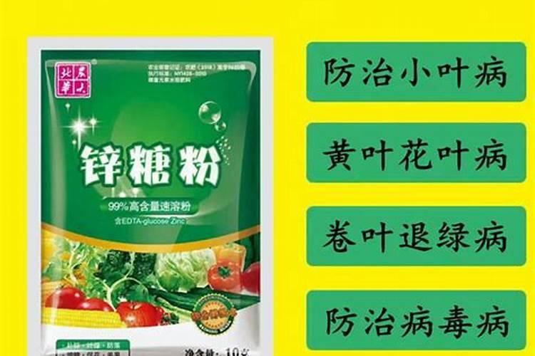 今年的玉米肥肥能不能到明年用？