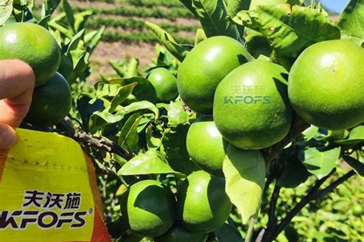 江苏中农新型肥料有限公司产品介绍