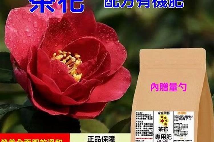 我同学微信发一些口味王槟榔的照片给我,上面有数字。要我扫了红包后再...