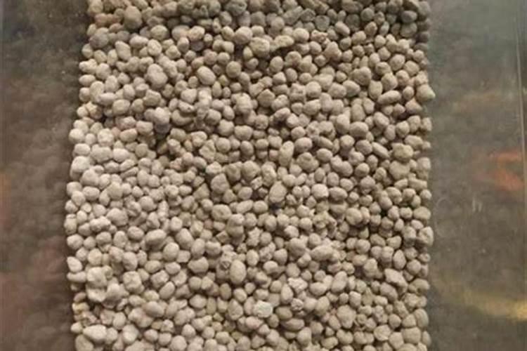 请问肾病病人能吃什么蔬菜？