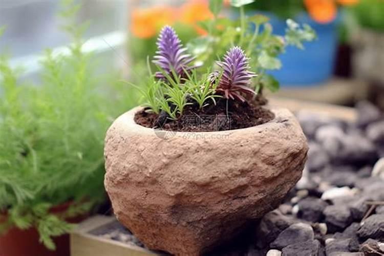 氮肥可以兑水浇花吗