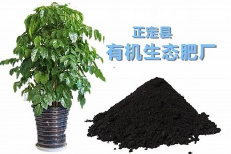 桔子落果是什么原因造成的