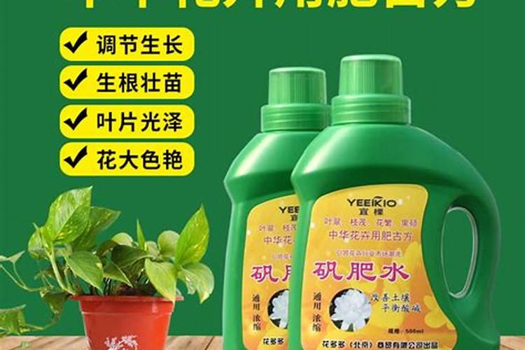 盆栽金桔树施什么肥料最好