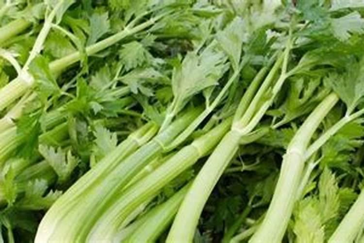 豆角能冲高钾肥料吗