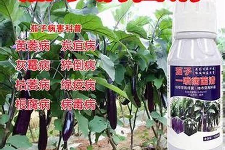 1斤化肥配多少斤水才对植物生长最好