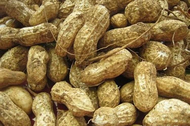 大豆叶面肥的喷施技巧 大豆怎么施肥