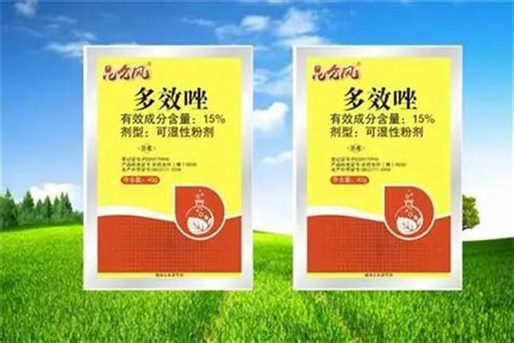 红薯怎样储存的时间长 怎样储存红薯的时间长