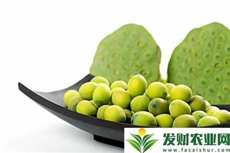 绿颖矿物油能和叶面肥混用吗