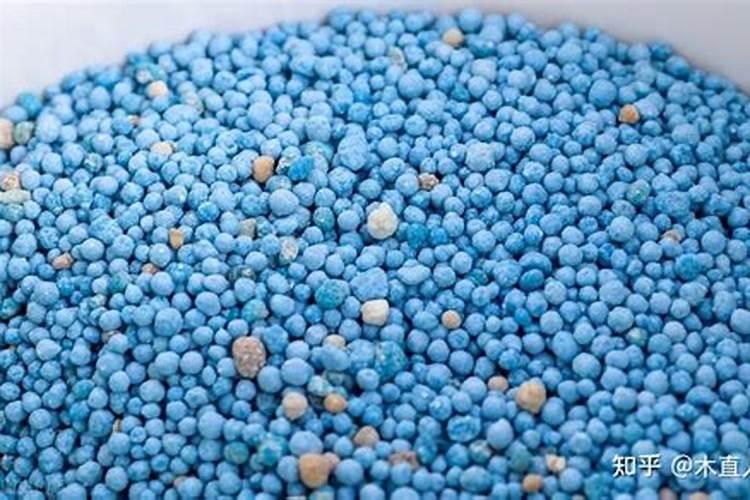 苹果树春季用什么化肥好