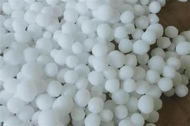 种植李子苗需补充哪些营养？「英英李子园种植课堂」