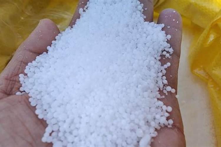 三枝的功效与作用