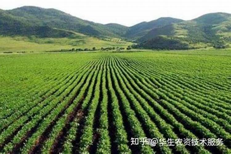 怎么给花施复合肥