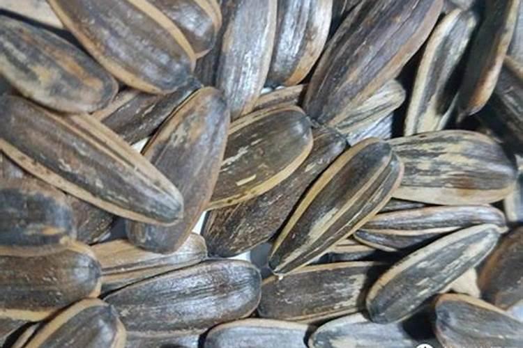 瓜子皮合花生皮可以做花的肥料吗