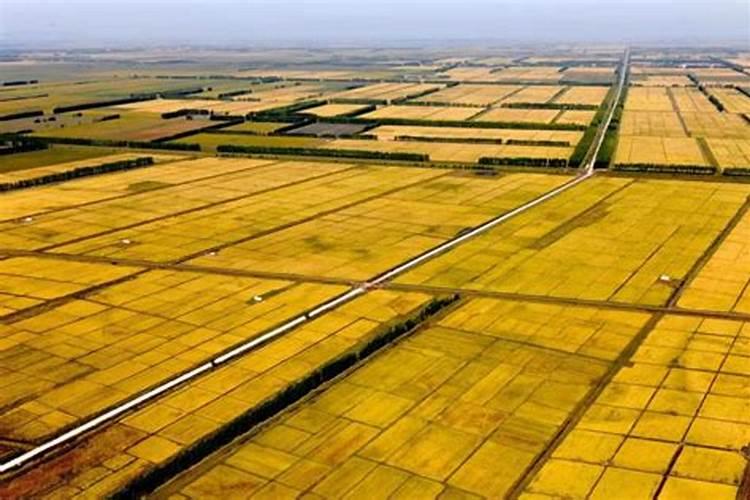 (24分)阅读图文资料,完成下列要求建三江位于三江平原腹地,于1957钱开始...