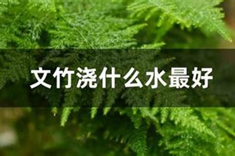 磷肥含磷与二铵含磷是一种磷吗？