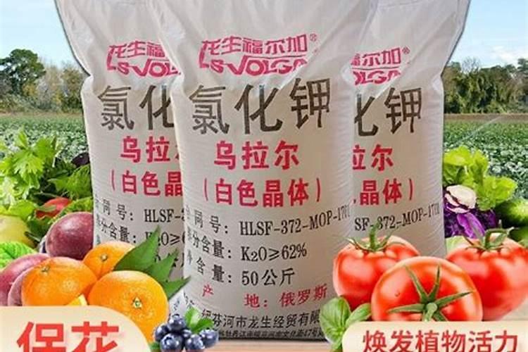 钾肥上市公司有哪些