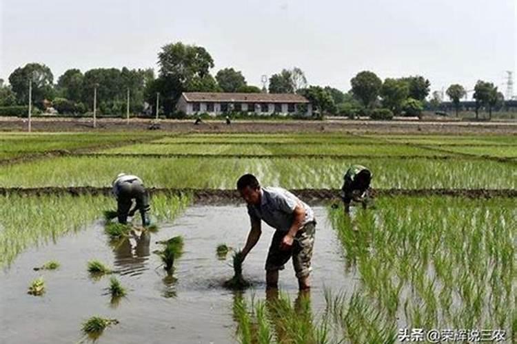 打钙针有什么坏处和好处