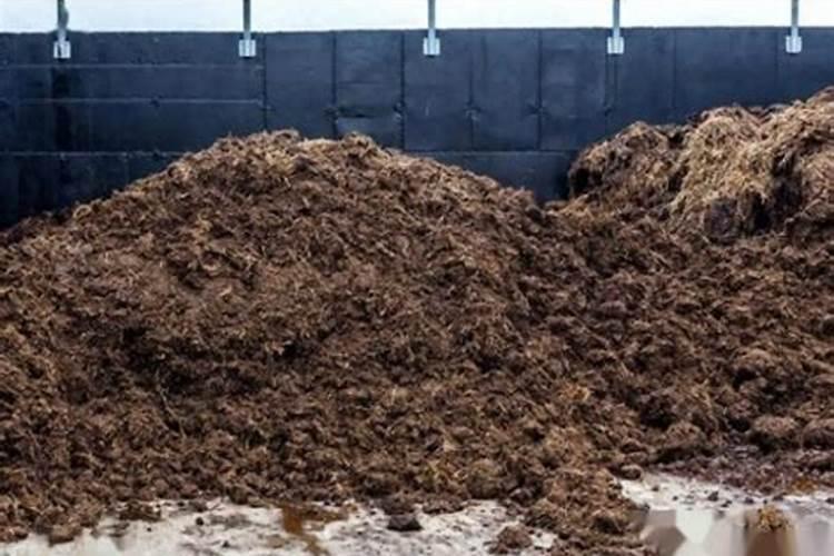 家用沤肥技巧 家用沤肥技巧介绍