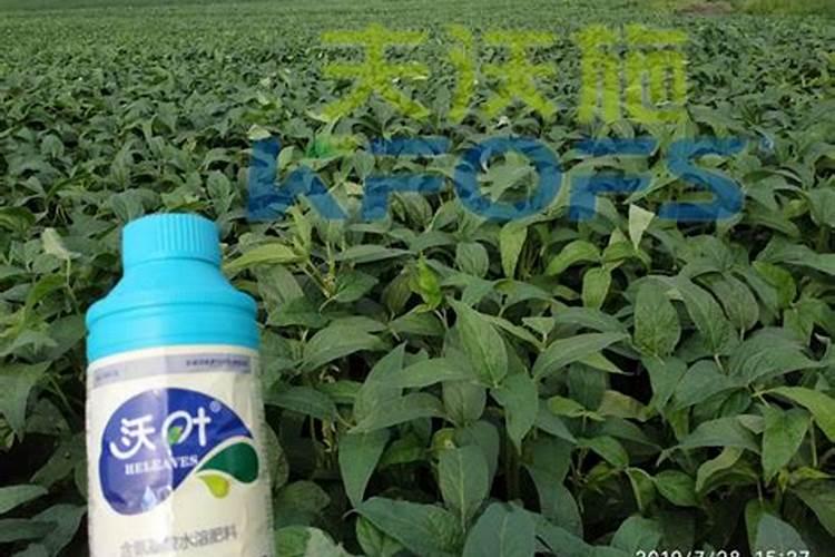 大豆叶面肥的喷施技巧 大豆怎么施肥