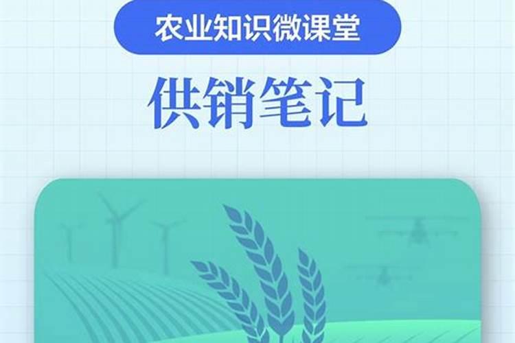 蓝宝石葡萄转色期施肥方法