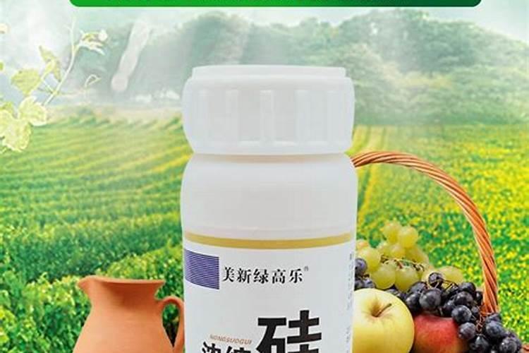 水稻黄叶病用什么农药