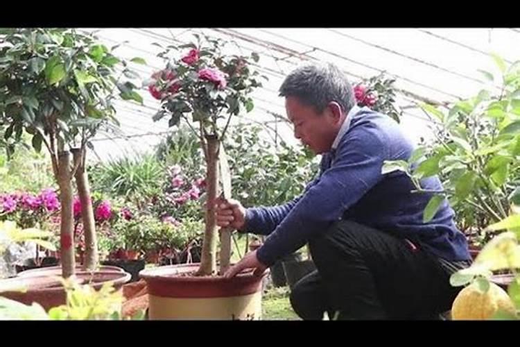 沤肥要密封还是透气