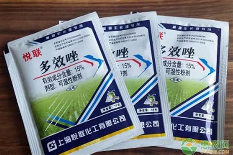 大西红柿控旺长用什么药好啊？