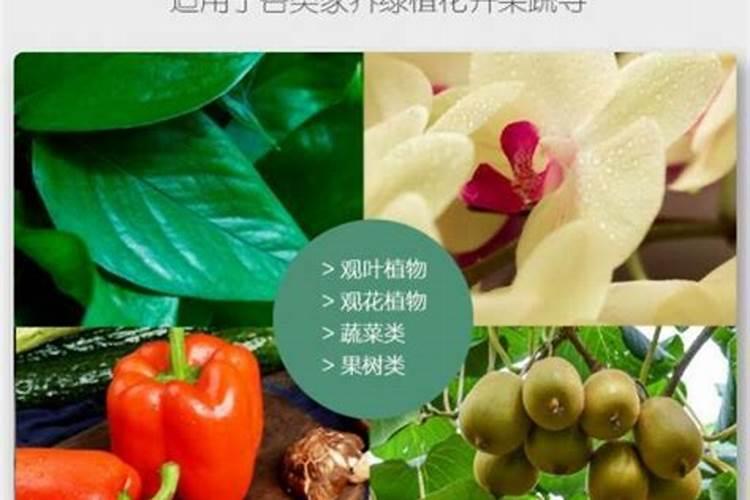 花用复合肥怎么用