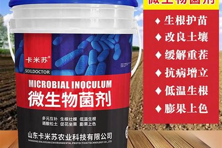 大姜生根壮苗用什么冲施肥？