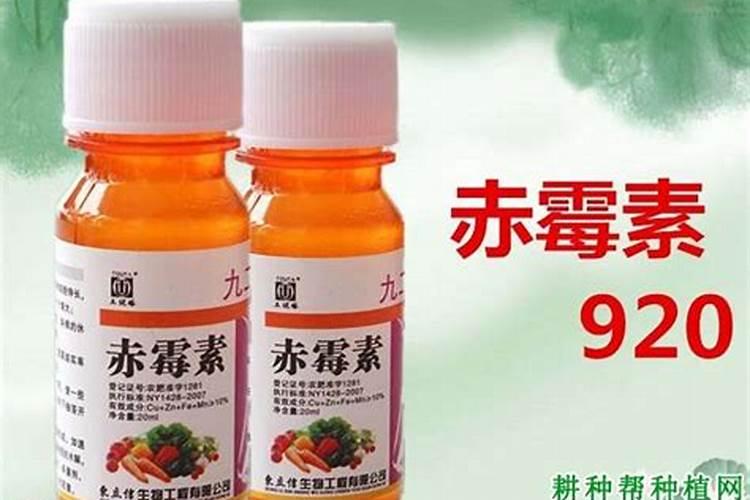 保花保果用赤霉素还是芸苔素