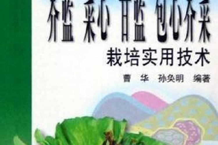 包心芥菜种植技巧 包心芥菜种植方法