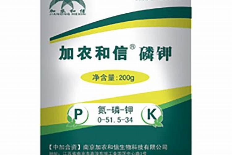 水养的绿萝水里要加什么才长得好？