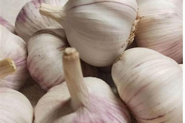 大蒜年后追什么肥料好