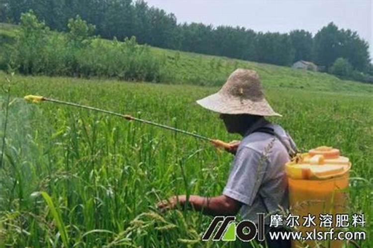 尤美果大量元素水溶肥料可以给西瓜喷吗？