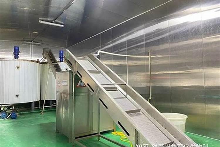 山东昌邑特产:莱州湾鲈鱼