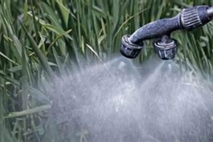 怎样让黑法师爆盆