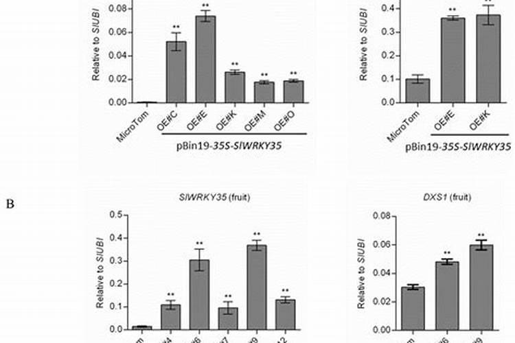 每100克西红柿含有哪些营养成分？