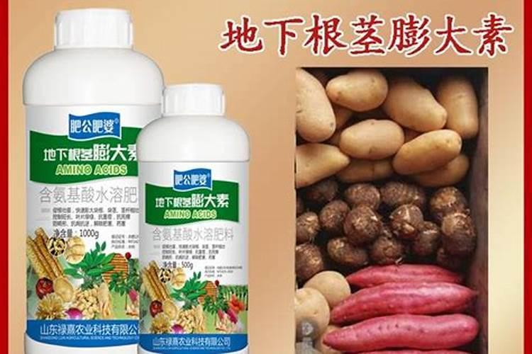 土豆根茎块膨大素有哪些？土豆用什么肥料可以根茎块膨大？