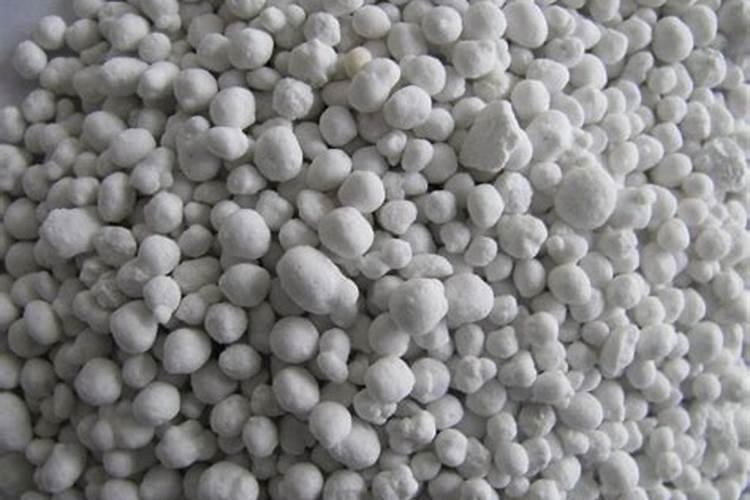 桂花施肥用什么肥料