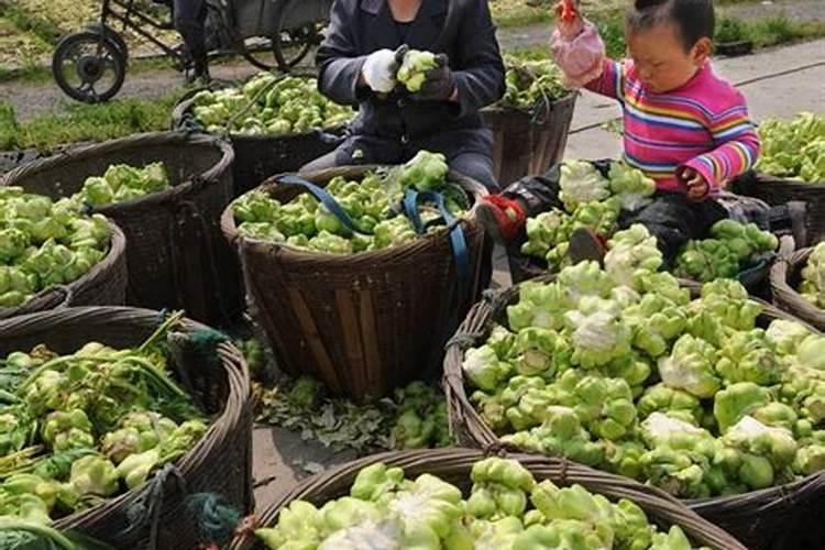 农业生物学分类,农业机械都有哪些