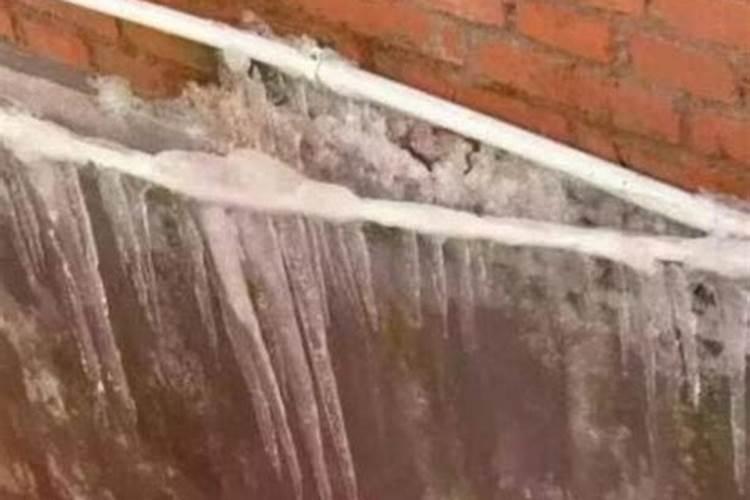 饥荒海难种植区